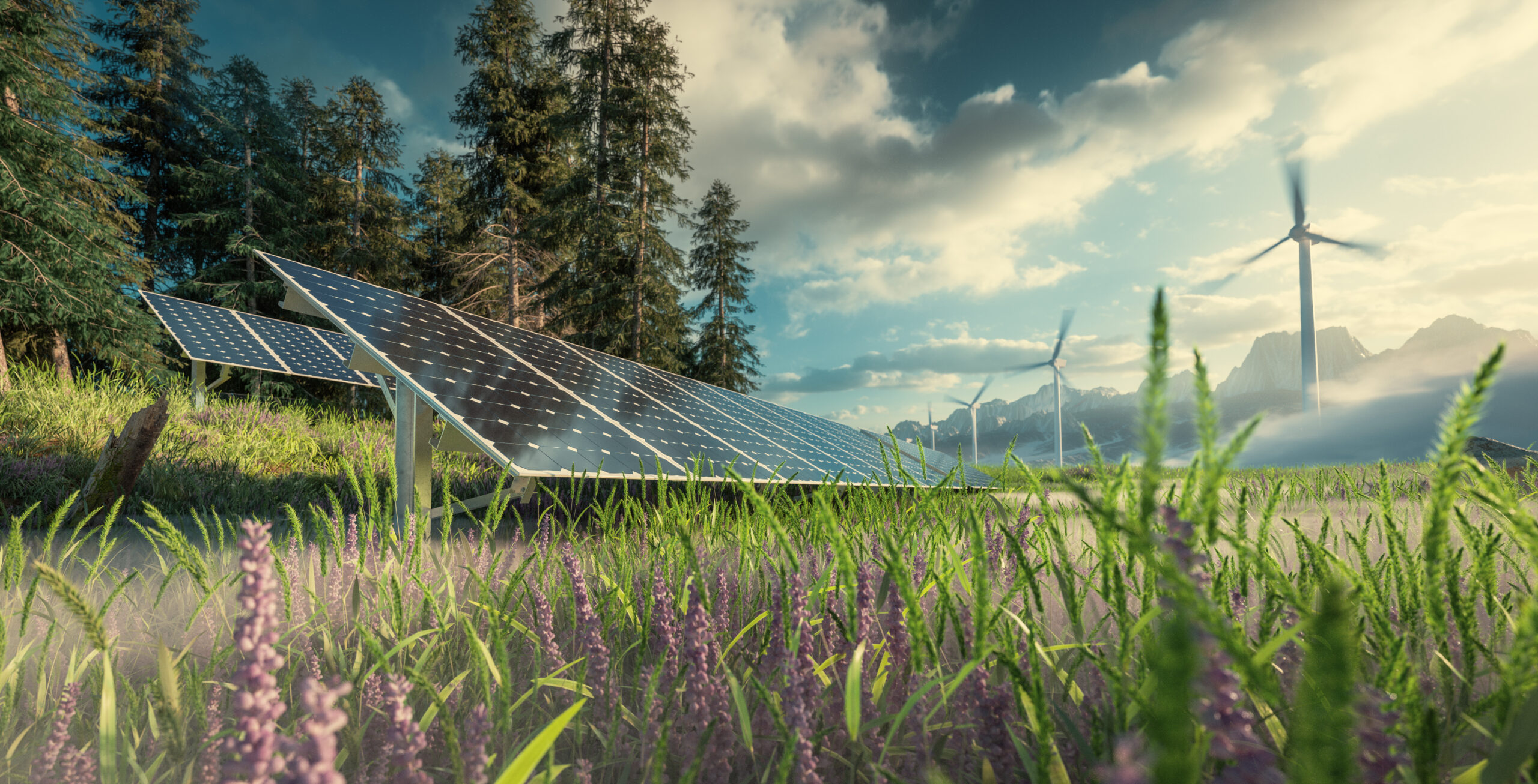 Image of Solar panels and wind turbines in a field