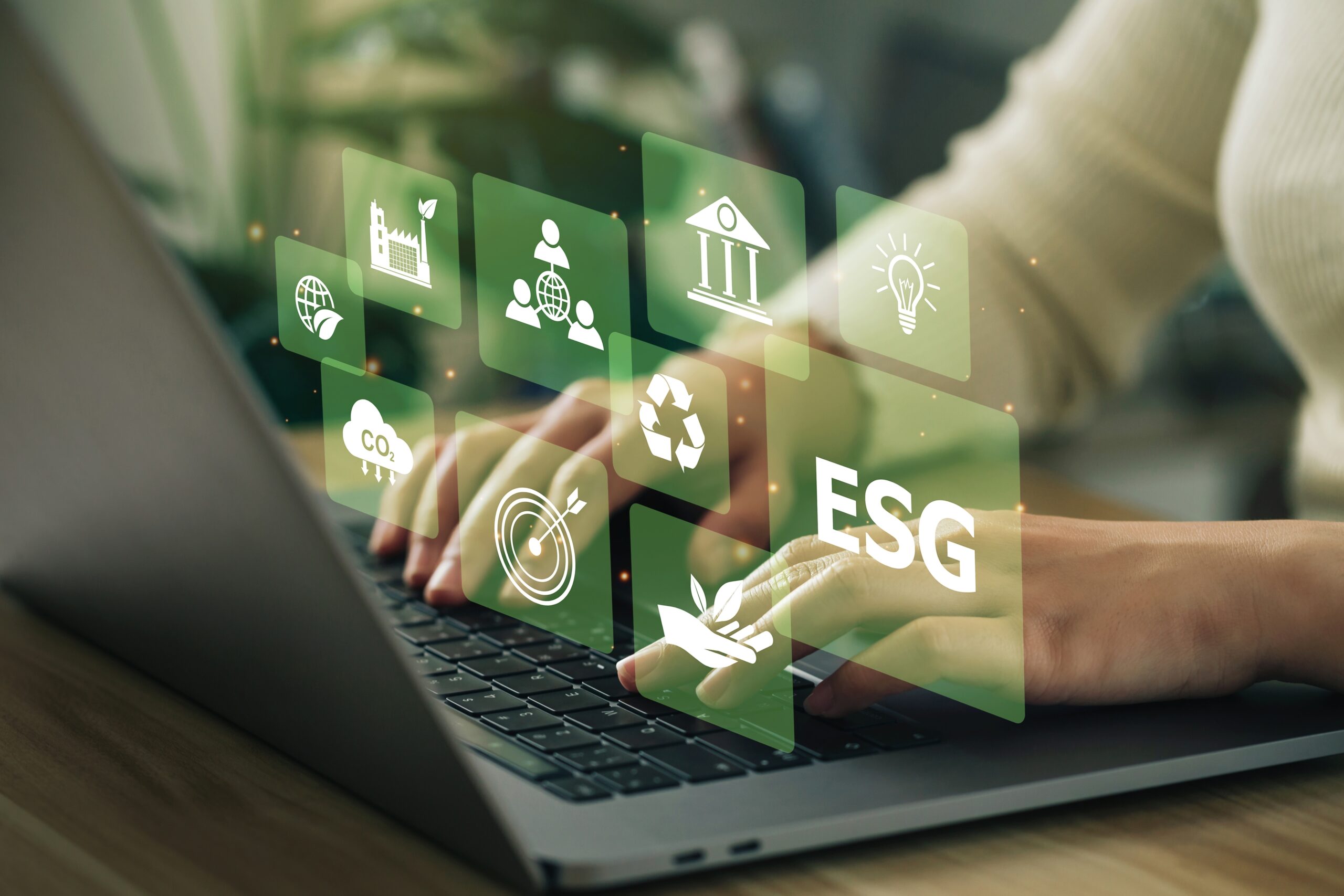 Asesoria Group - Contact Us